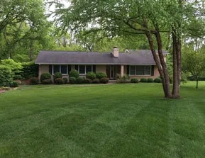 Lawn Renovation